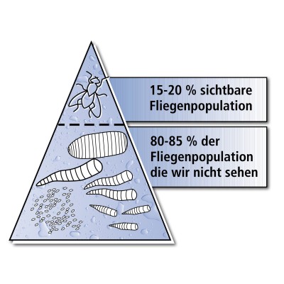 Schaubild sichtbare und unsichtbare Fliegenpopulation